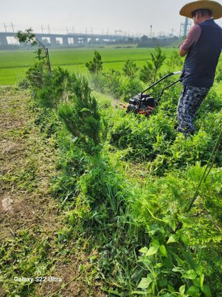 박해용(세건농장)님의 농기계정보 · 자유게시판 작성글 사진