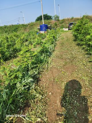 박해용(세건농장)님의 농기계정보 · 자유게시판 작성글 사진