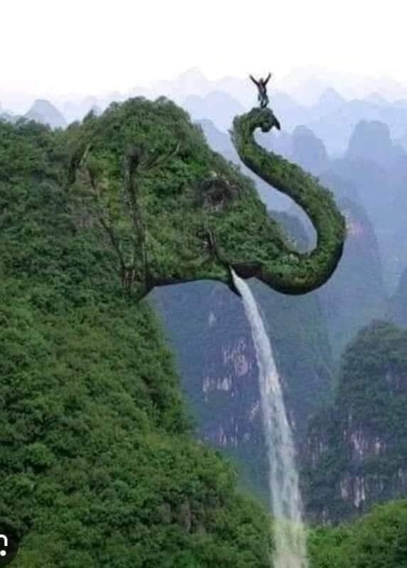 장터 상품 [생 칙즙 100포 ㅡ 할인가로] 썸네일