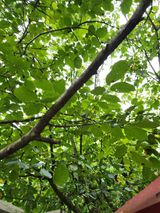 팜모닝 기타작물·자유게시판 게시글 이미지