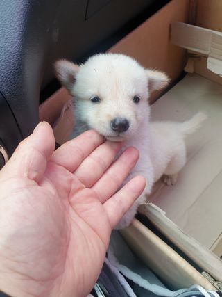 오영관님의 자유주제 · 칭찬해요 작성글 사진