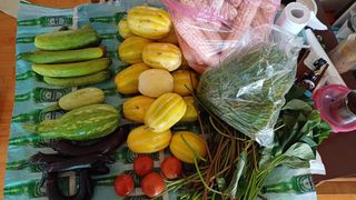 박순덕님의 참깨 · 자유게시판 작성글 사진