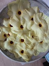 팜모닝 기타작물·자유게시판 게시글 이미지