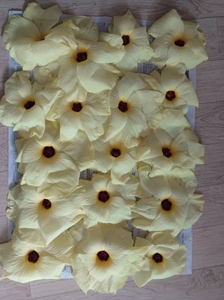 강생아빠님의 기타작물 · 자유게시판 작성글 사진