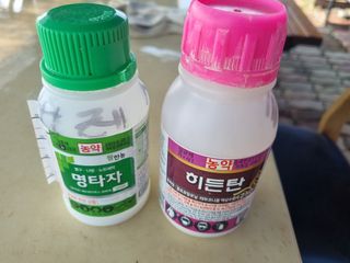 김한수님의 고추 · 영농일지 작성글 사진