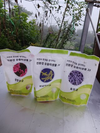 덕촌님의 고추 · 일상 작성글 사진