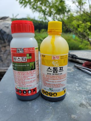 박기석님의 토마토 · 영농일지 작성글 사진