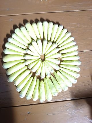 섬진강님의 자유주제 · 사진전 작성글 사진