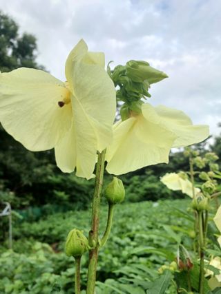 섬진강님의 자유주제 · 사진전 작성글 사진