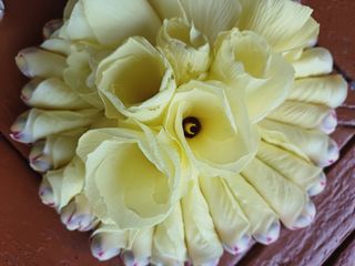 섬진강님의 자유주제 · 사진전 작성글 사진