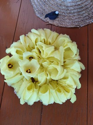 섬진강님의 자유주제 · 사진전 작성글 사진