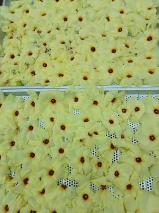 섬진강님의 자유주제 · 사진전 작성글 사진