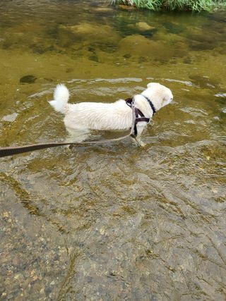남봉구님의 자유주제 · 자유게시판 작성글 사진