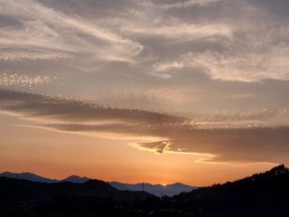 남봉구님의 자유주제 · 자유게시판 작성글 사진