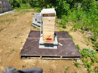 남봉구님의 자유주제 · 자유게시판 작성글 사진