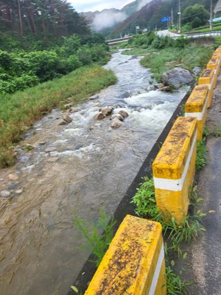 남봉구님의 자유주제 · 자유게시판 작성글 사진