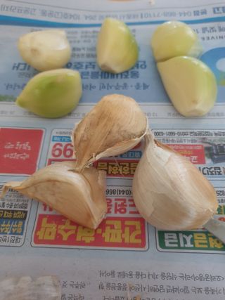 참깨8107님의 마늘 · 마늘 쪽 비대기 작성글 사진