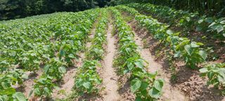 최영호님의 자유주제 · 자유게시판 작성글 사진