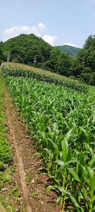 최영호님의 자유주제 · 자유게시판 작성글 사진