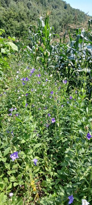 최영호님의 자유주제 · 자유게시판 작성글 사진