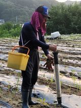 팜모닝 들깨·영농일지 게시글 이미지