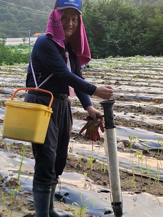 장기준님의 들깨 · 영농일지 작성글 사진