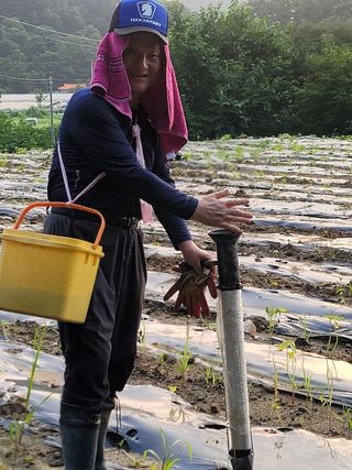 장기준님의 들깨 · 영농일지 작성글 사진