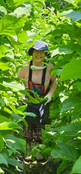 팜모닝 자유주제·자유게시판 게시글 이미지