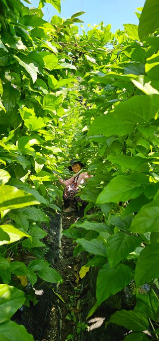 하동써니님의 자유주제 · 자유게시판 작성글 사진