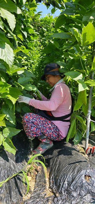하동써니님의 자유주제 · 자유게시판 작성글 사진