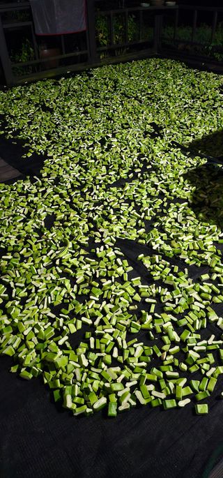 하동써니님의 자유주제 · 자유게시판 작성글 사진