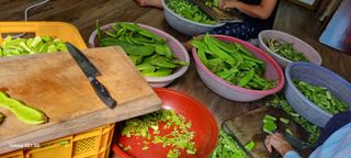 하동써니님의 자유주제 · 자유게시판 작성글 사진