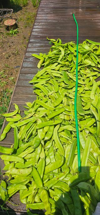 하동써니님의 자유주제 · 자유게시판 작성글 사진