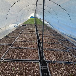 정광일님의 기타작물 · 자유게시판 작성글 사진