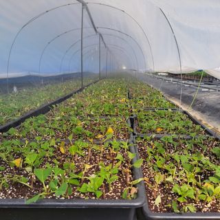 정광일님의 기타작물 · 자유게시판 작성글 사진