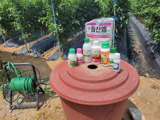 북극성짱님의 고추 · 비료•농약 작성글 사진