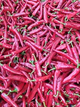 팜모닝 자유주제·자유게시판 게시글 이미지