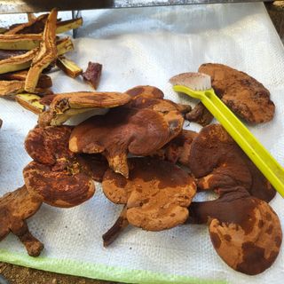 오정석님의 자유주제 · 사진전 작성글 사진