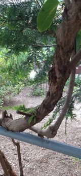 팜모닝 자유주제·자유게시판 게시글 이미지