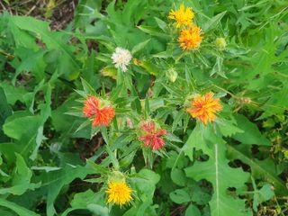 운권청천,김민준님의 자유주제 · 자유게시판 작성글 사진