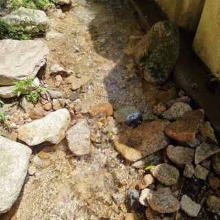 이종권님의 참깨 · 자유게시판 작성글 사진