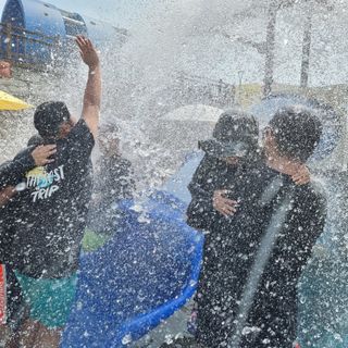 이종권님의 참깨 · 자유게시판 작성글 사진