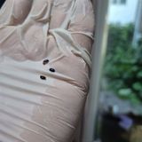 팜모닝 자유주제·자유게시판 게시글 이미지