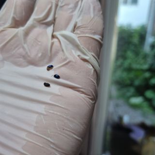 스핑님의 자유주제 · 자유게시판 작성글 사진