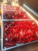 팜모닝 고추·영농일지 게시글 이미지