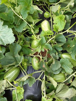 감자30692님의 자유주제 · 자유게시판 작성글 사진