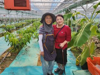 박순례님의 우리동네 · 동네자랑 작성글 사진