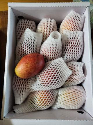 박순례님의 우리동네 · 동네자랑 작성글 사진