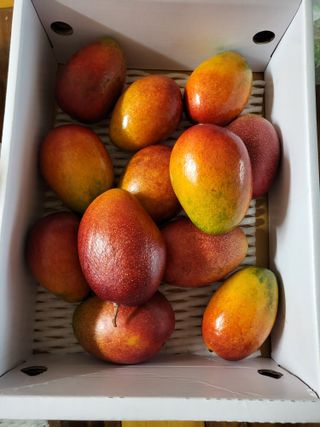 박순례님의 우리동네 · 동네자랑 작성글 사진