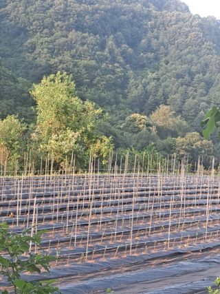 유문식님의 자유주제 · 사진전 작성글 사진